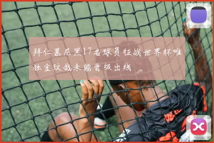拜仁慕尼黑17名球员征战世界杯唯独金玟哉未能晋级出线